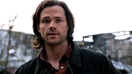 "We Have To Get In Here." ↳ 9.22 - STAIRWAY TO HEAVEN