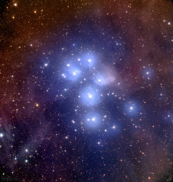 the-midnight-sky:  The Pleiades (source) 