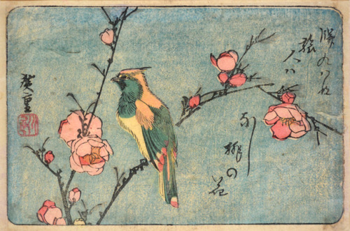 geritsel:Ando Hiroshige - birds and blossoms