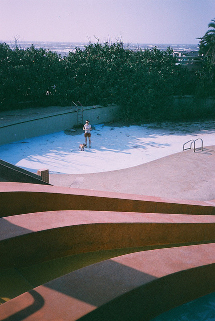 calms:   nature/vintage blog    