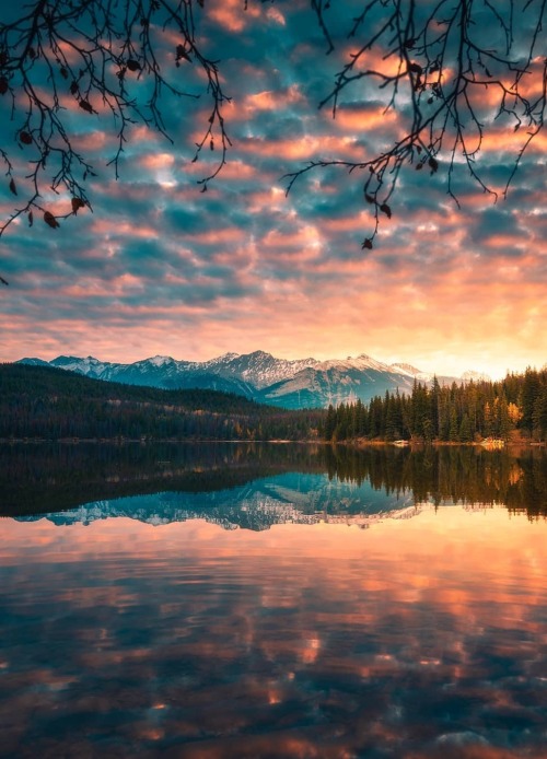 Scattered Sunlight