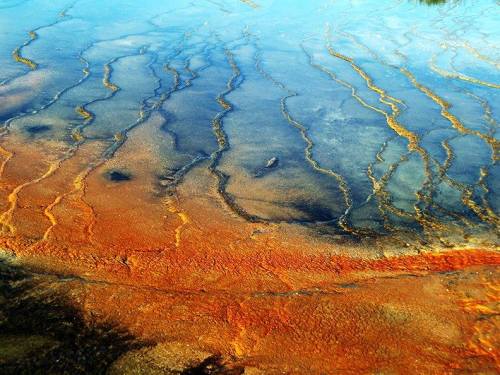 BiofilmsYou wake up in the morning with “dragon breath” and you just can’t wait to brush that yucky 