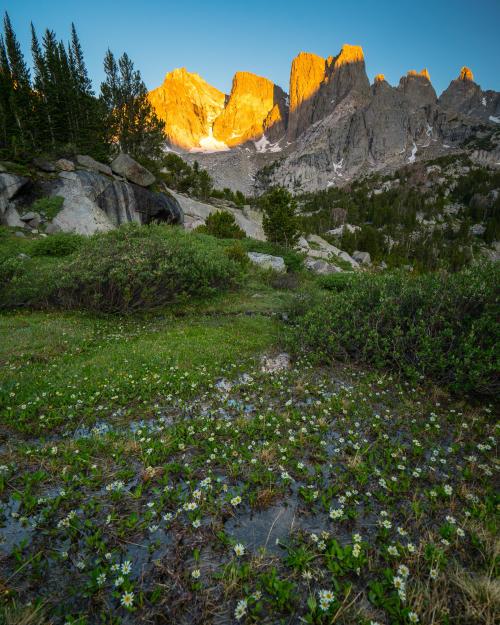 Oneshotolive:  Summer Sunrise In The Winds, The Wind River Range, Wyoming. {Oc} (2400X3000)