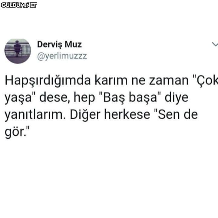 İyi laf, kullanırız Derviş...