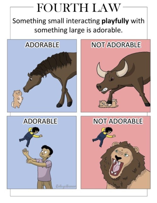 Porn tastefullyoffensive:  The Six Laws of Adorability photos