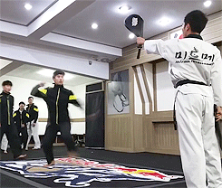 kellymagovern:  Taekwondo paddle kicking [x]