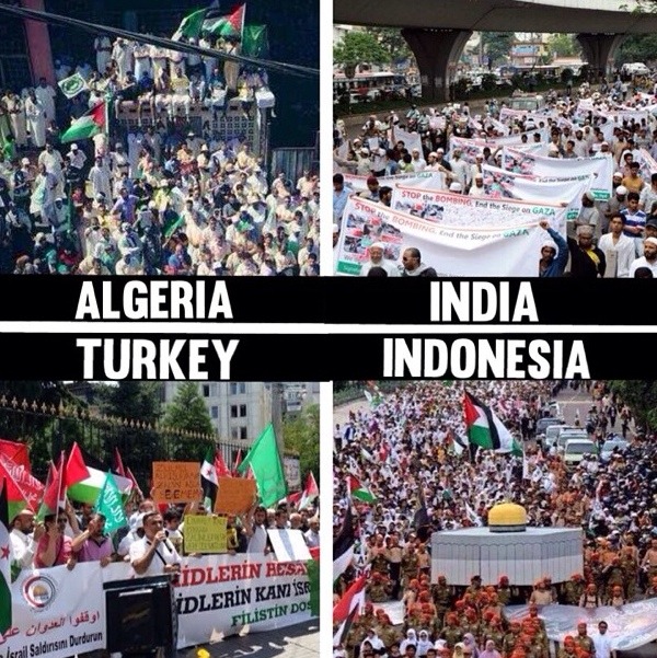 tsamthepoet:  The world stands with Palestine. 