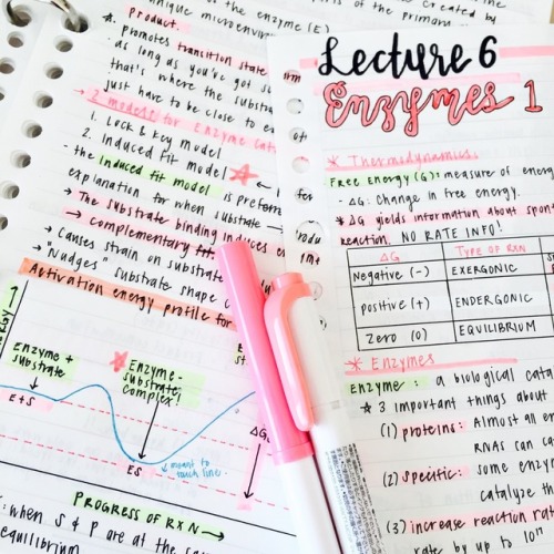 Biochemistry lecture notes