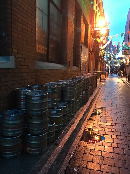 ospreyfan:St Patrick’s weekend celebration!  Dublin, Ireland