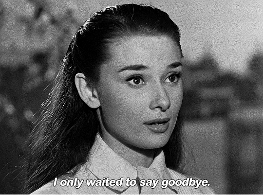 ferrisbuellers:  ROMAN HOLIDAY (1953)dir. William Wyler