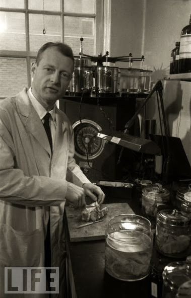 Dr. Thomas Harvey — The Man Who Removed Einstein’s Brain,When on April 18th, 1955 the gr