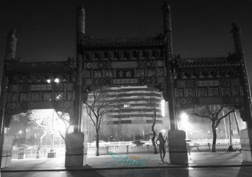 shyshower: BY BEIJING ANGEL