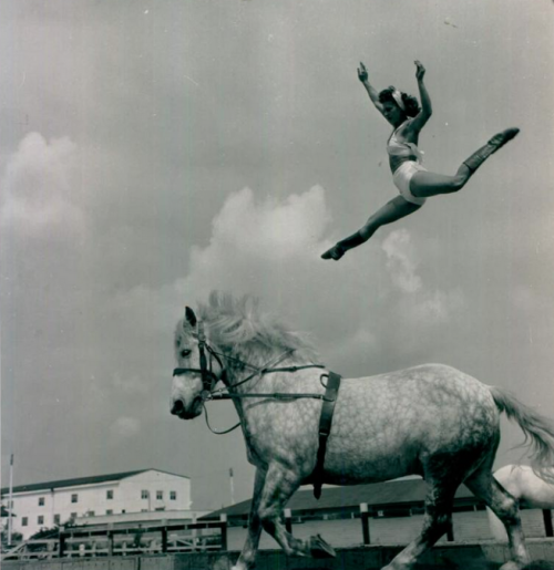 24hoursinthelifeofawoman: Ernestine Clark, star of the Yustino Loyal Troupe