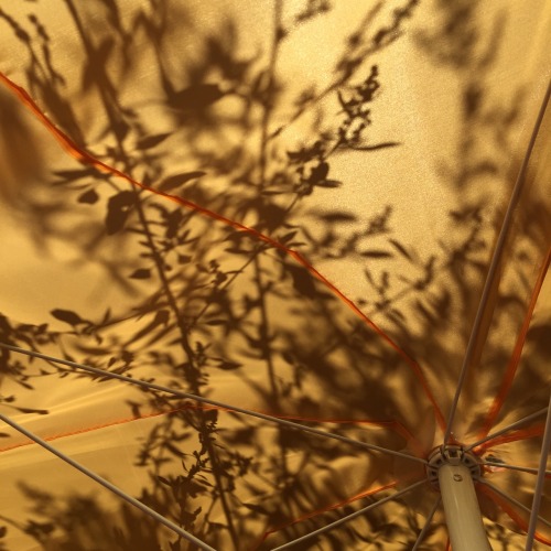 vangoghcean:  okay but let’s just take a moment to appreciate the beauty of these shadows on a yellow umbrella 