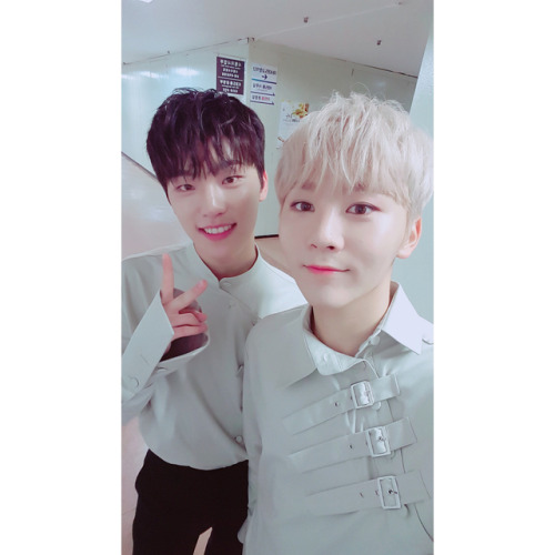 pledis17: 170627 Seventeen Instagram Update캐럿들 500일 축하해요~! HAPPY CARAT DAY♥#형제_같은_세븐틴 #쿱스_따라_