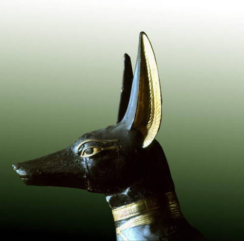 Statue of AnubisAnubis, protector of the gates to the Underworld, detail, found in the Tomb of Tutan