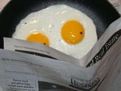 noelfrost:  Eggscellent news  Is that the