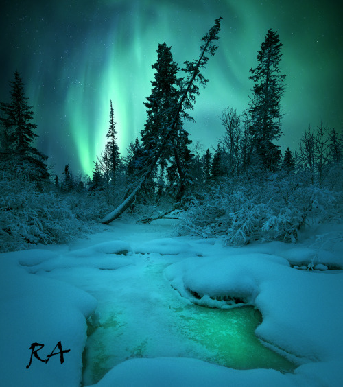 sweetd3lights:All rights reserved by Aleksey R. 