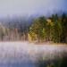 archae-heart-deactivated2021012:autumn peeking through 