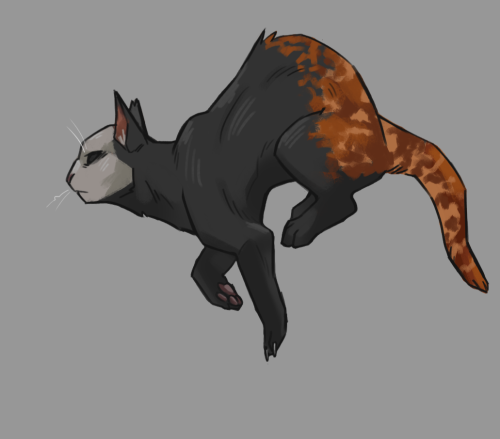 I Remembered I Had Slasher Kitties Series, Heh. Not Sure If It's A Finall Design For Mikey, But He Would