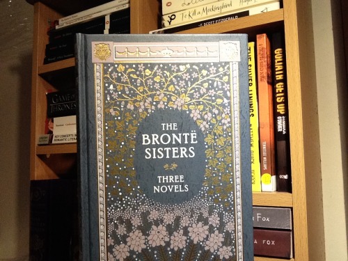 acrossmyfictionaluniverse:  Barnes and Nobel Leather bound Classics <3