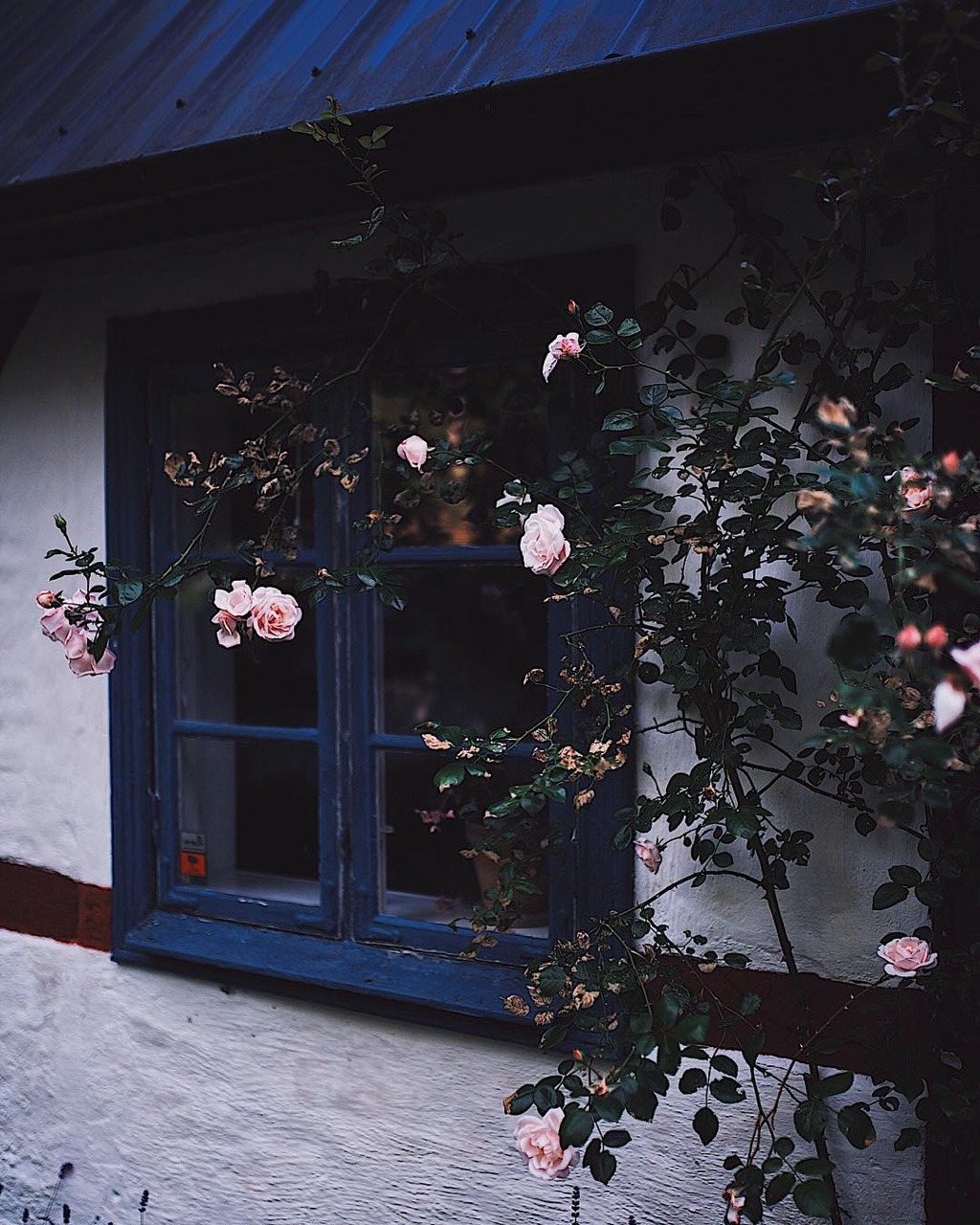 like-fairy-tales:By: Ezgi Polat | ezgipolat