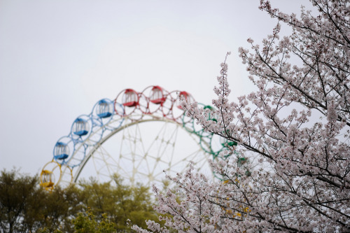 20110408 Horiuchi Park 3 by Bong GritVia Flickr:この公園は小さいながらも観覧車がある。でも平日金曜日の朝だったんで、誰も乗ってない。でも回ってる。@Ho