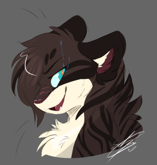 I still adore hawkfrost