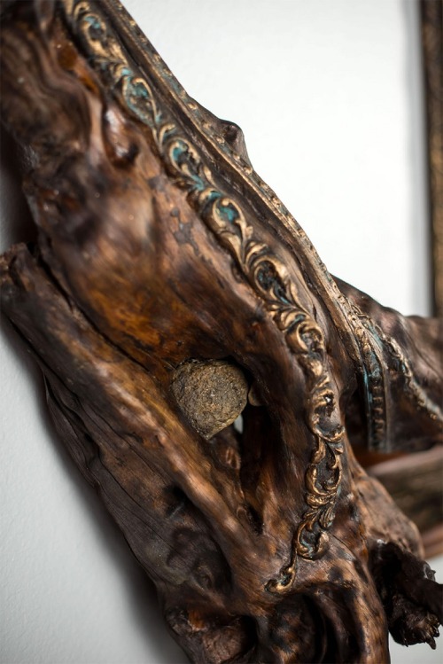 sibilia: mymodernmet: Salvaged Tree Branches Seamlessly Emerge from Antique Picture Frames @mrozna l