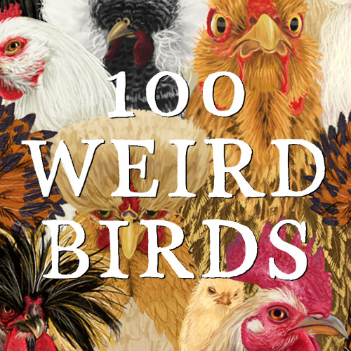 100 Weird BirdsI’ve been wanting to start a 100 day project for awhile, and now I finally have some 