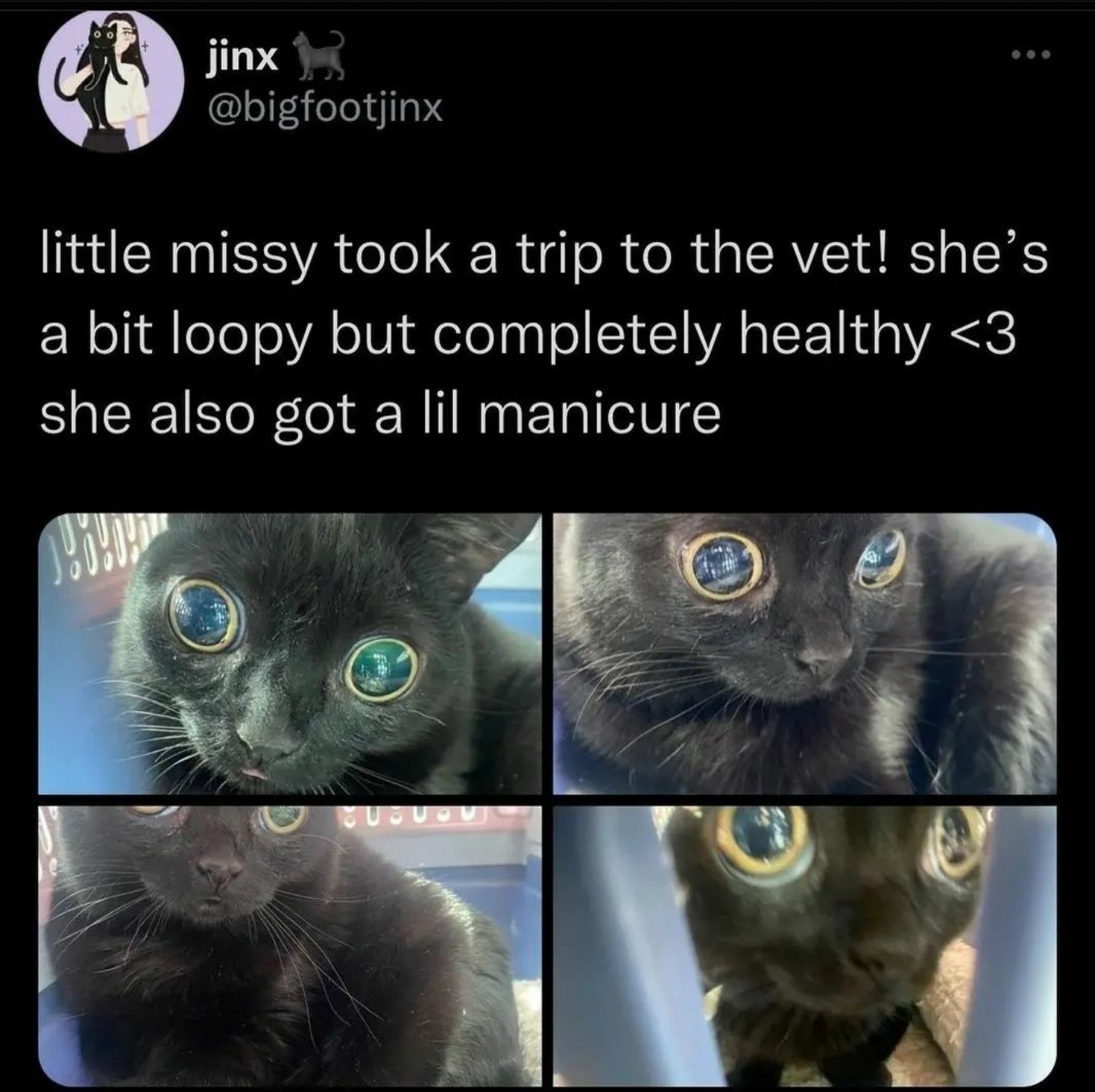 ce1erywheat:teathattast:Brave little kitty