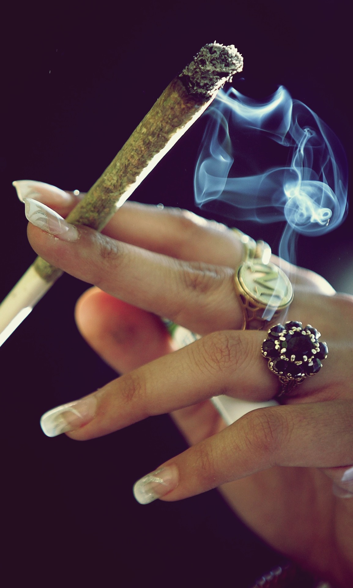 ihaveenoughweed: im-mr:    Stay high and check out my blog!     http://www.marijuanaproducts.nl/free-grow-bible