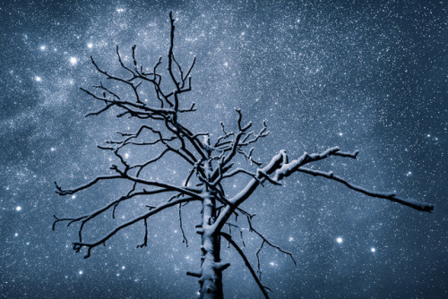 tiinatormanenphotography: Winter magic.  Lapland, Finland. by Tiina Törmänen | web | 