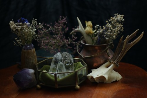 Still life photography by @90377Instagram | Etsy shop