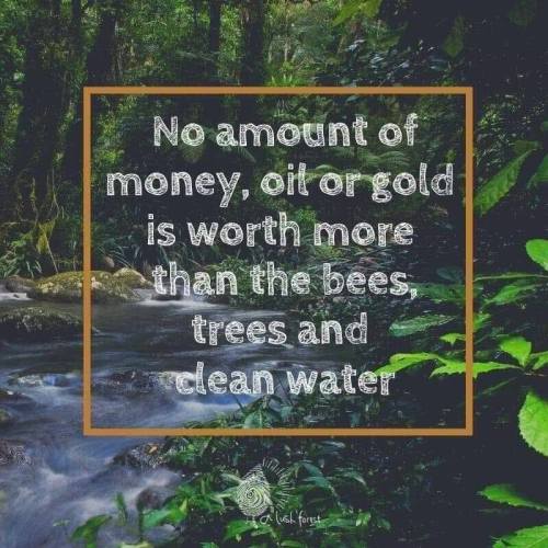 No amount of money, oil or gold is worth more than the bees, trees and clean water☮  ❤ ॐFollow Us On