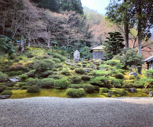 ⛳️1222. 萬徳寺庭園 Mantoku-ji Temple Garden, Obama, Fukui 今日は約5年ぶりの小浜のこちらから。 江戸時代初期に小浜藩主・酒井氏の命により作庭された大規模