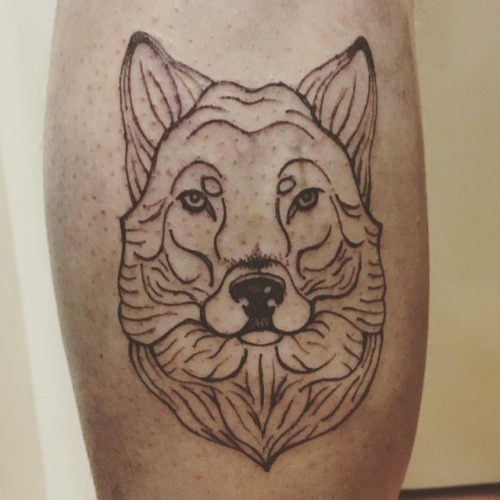 A wolf. * * #wolftattoo #wolf #ink #tattoo #tattoist #linework #linetattoo #wild (presso Altona)