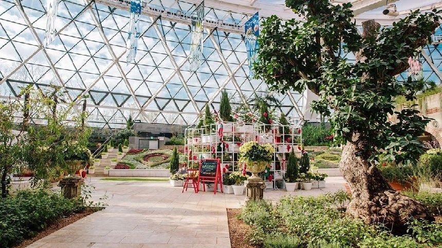仙人掌地中海植物韩国四季如春的温室植物园 Tumbex 仙人掌地中海植物韩国四季如春的温室植物园 Tumbex