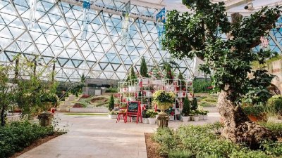 仙人掌地中海植物韩国四季如春的温室植物园 Tumbex 仙人掌地中海植物韩国四季如春的温室植物园 Tumbex