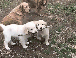 thenatsdorf:  Branch managers. [full video]