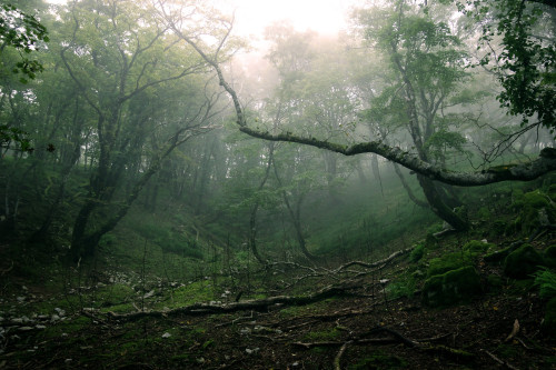 Mt.Oike / Mie Prefecture by Seiuchi F