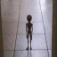 squidfaace