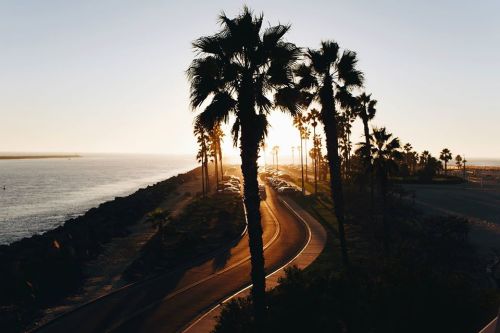 Free photos for your personal and commercial projects: bit.ly/2e8IFSG