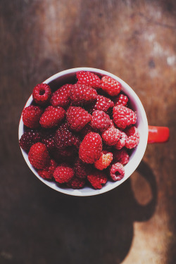 r2–d2:  Raspberries by (Oleh Slobodeniuk)