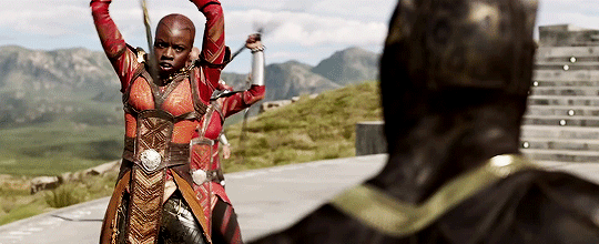 theavengers:  “The Dora Milaje are women who pledged their lives to the throne
