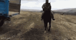 Animated Gifs
