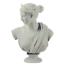 acvdemias