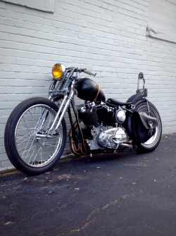 Harley Davidson Motorcycles