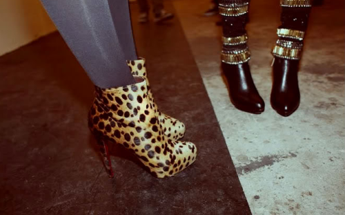 heelsfans.socialdoe.com/