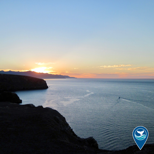 Sunset over cliffs and calm ocean waters by Santa Cruz Island in Channel Islands National Marine Sanctuary.